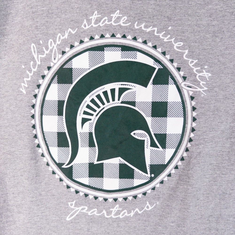 Champion T Shirt Adult M Gray Michigan State University Spartans Graphic Tee - Picture 2 of 9